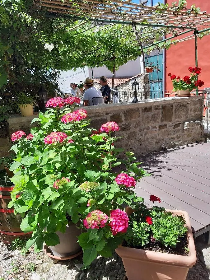 Guesthouse Villa Marija Motovun Croatie