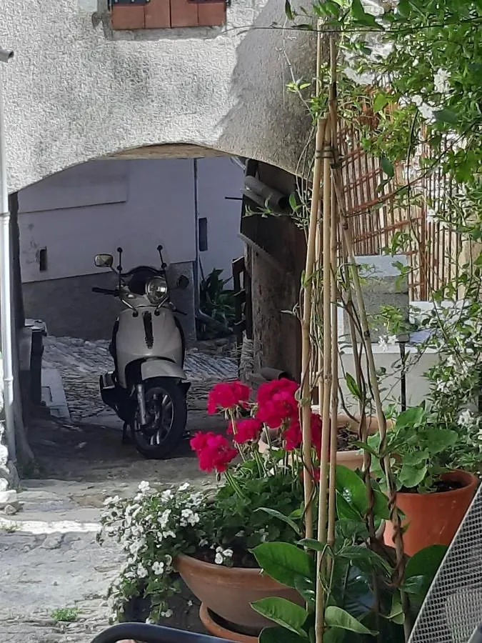 Guest house Guesthouse Villa Marija Motovun