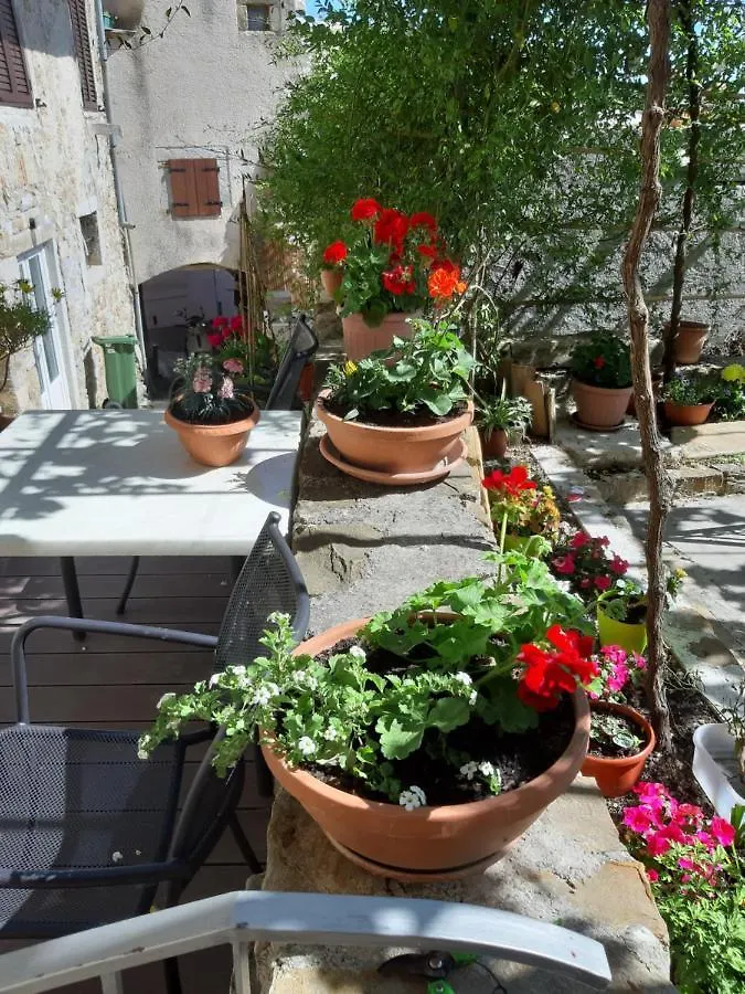 Guesthouse Villa Marija Motovun 3*,