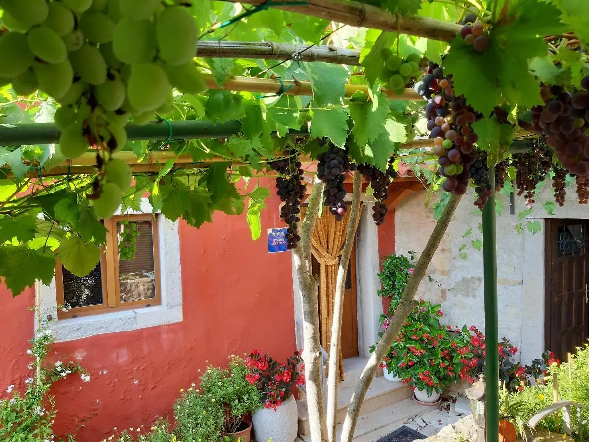 Guesthouse Villa Marija Motovun Croatia