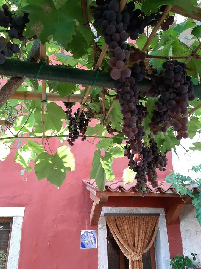 Guesthouse Villa Marija Motovun Guest house
