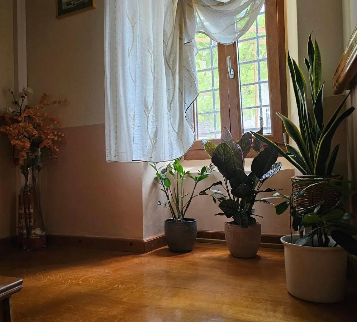 Guesthouse Villa Marija Motovun