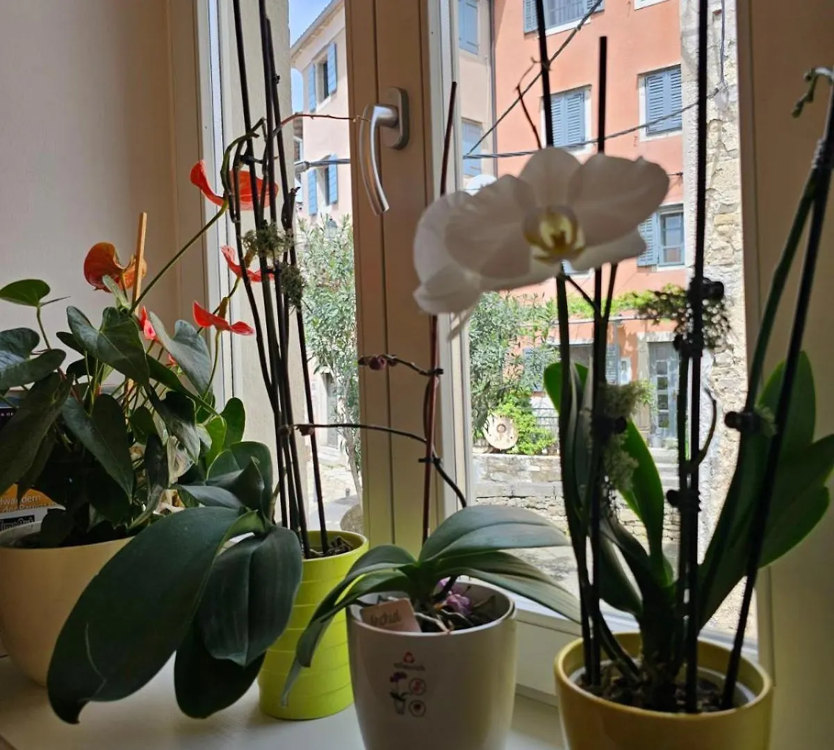 *** Guest house Guesthouse Villa Marija Motovun Croatia